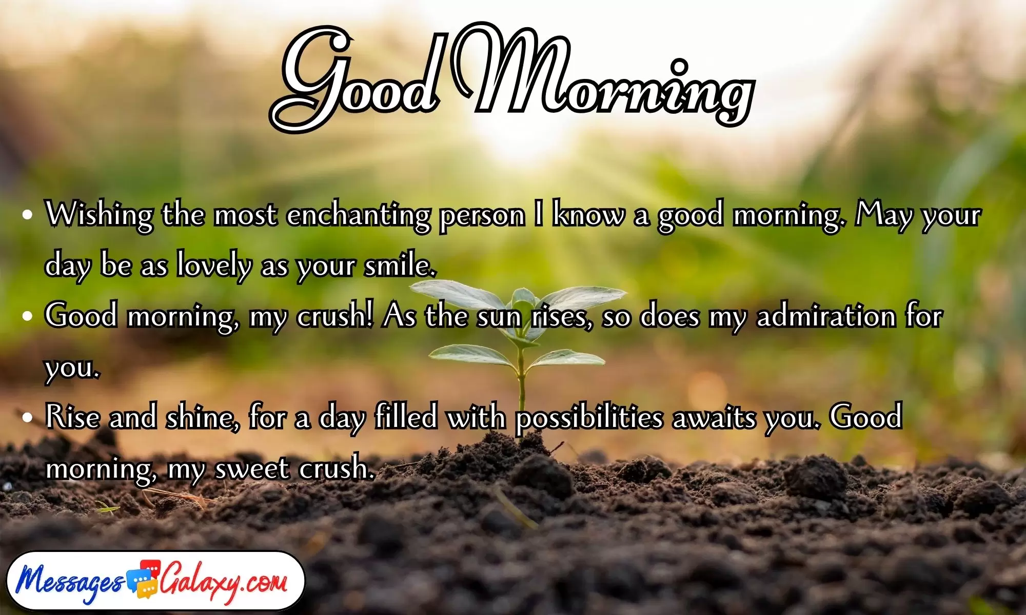 Emotional & Romantic Good Morning Quotes for Crush