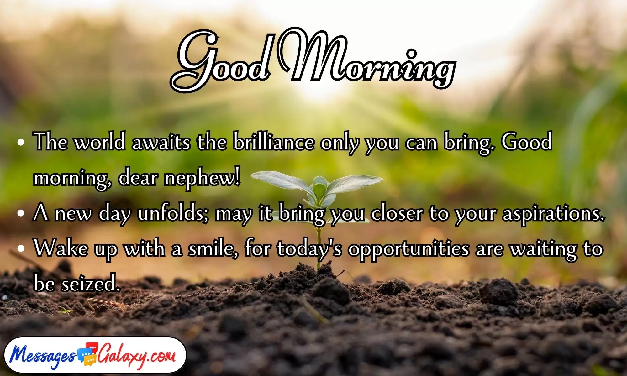 Unique & Heartfelt Good Morning Wishes